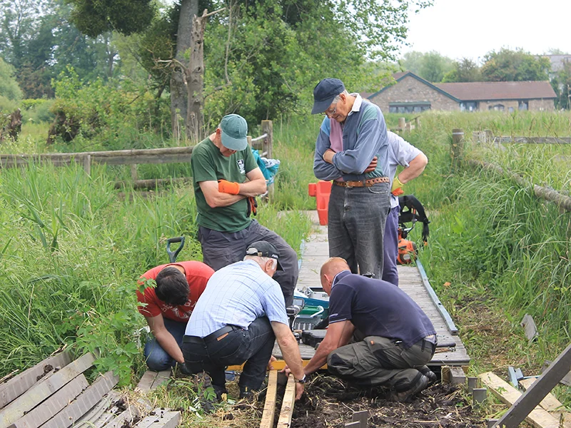 Magor Marsh volunteers 1 June'16.jpg
