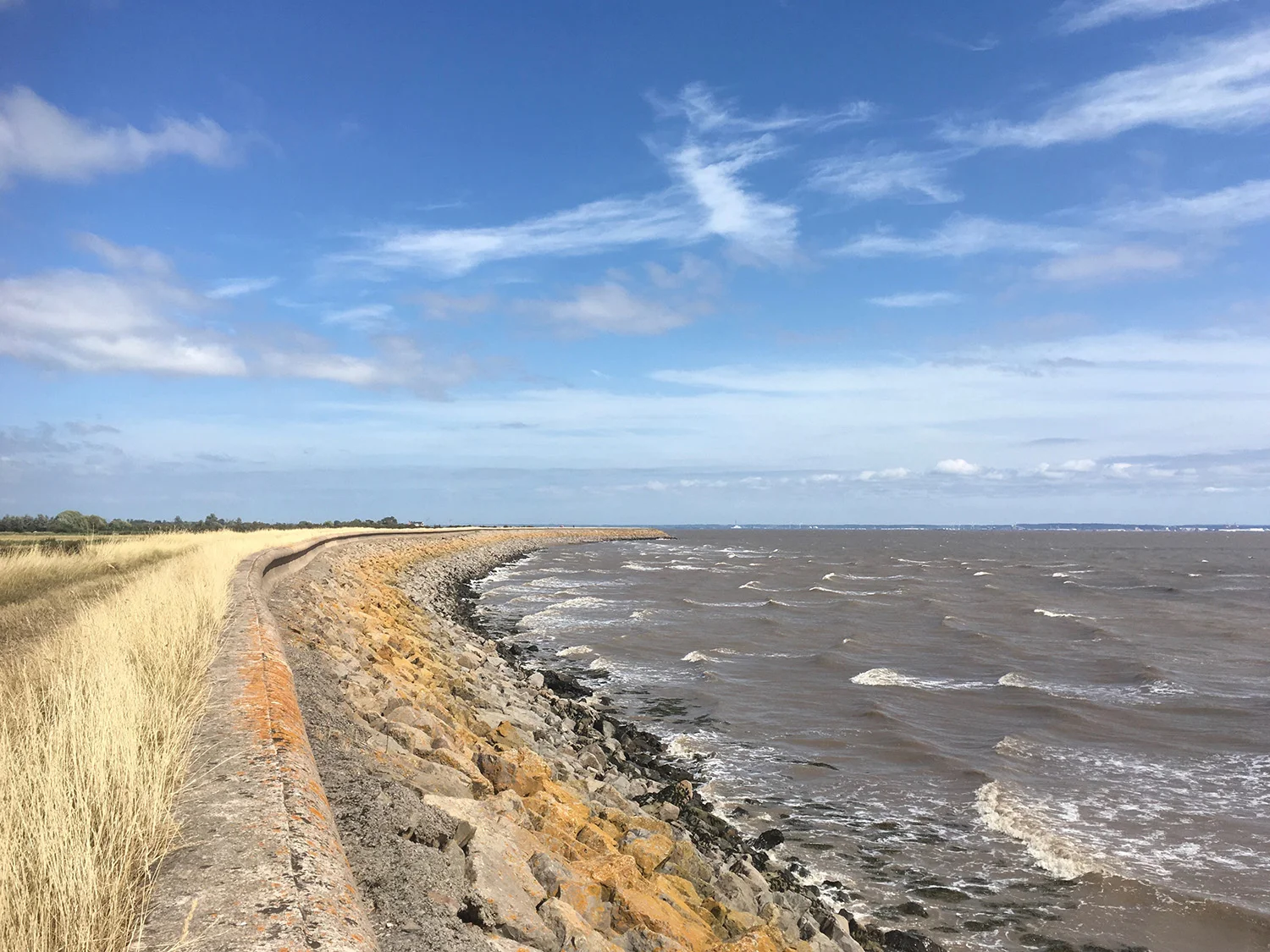Sea wall at Goldcliff