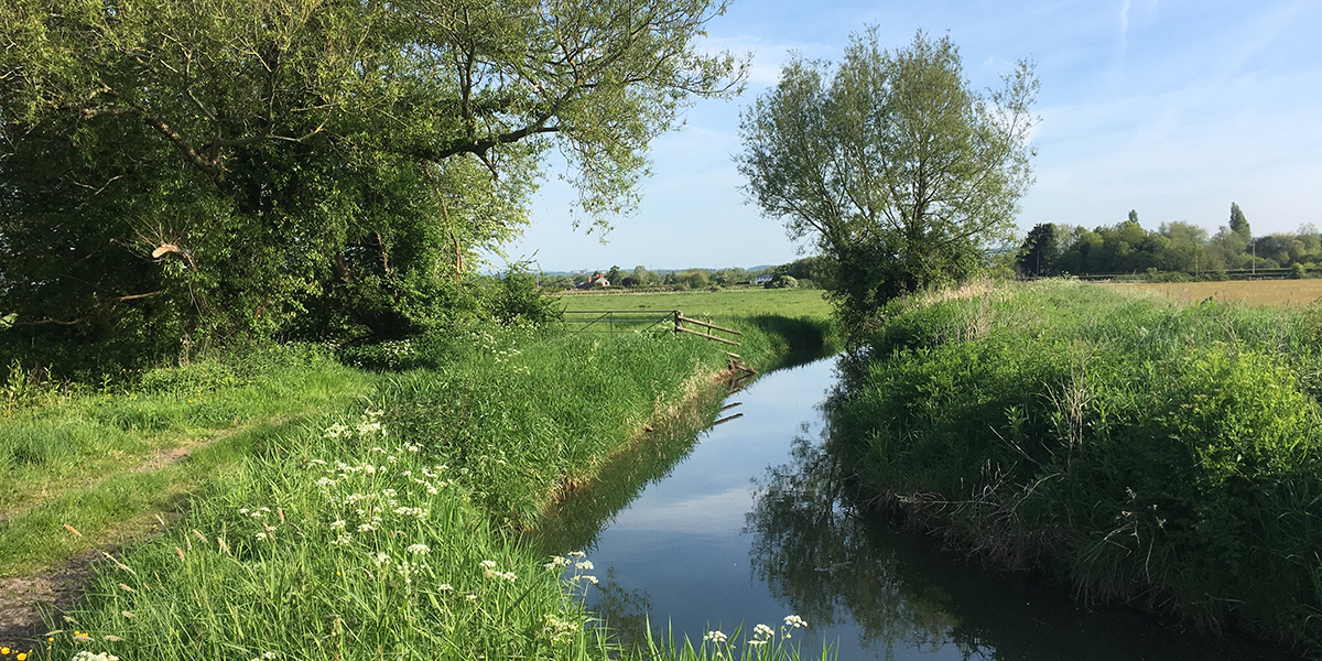  Monks' Ditch reen (Chris Harris) 