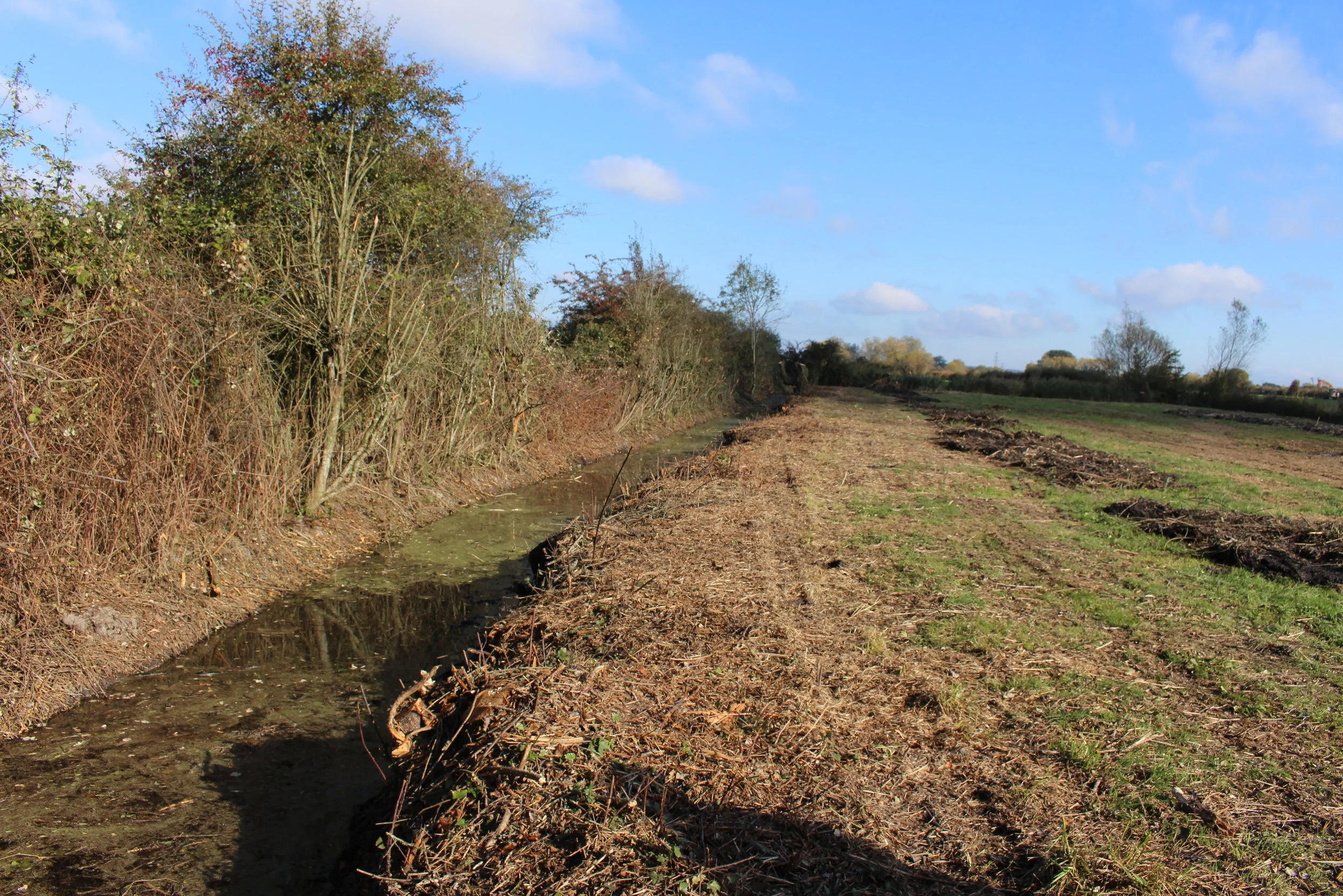 Targeted Natural Heritage Restoration