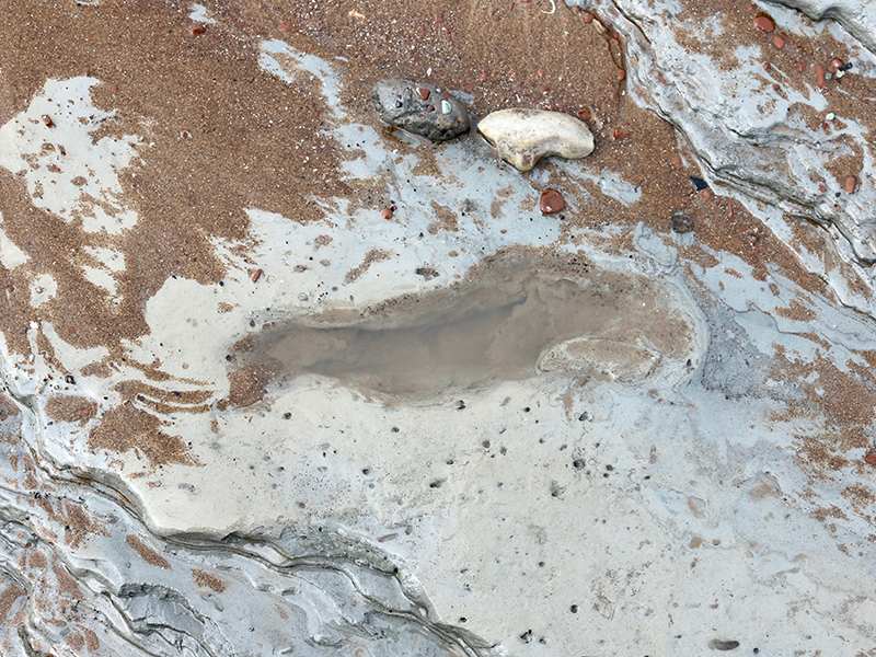  Mesolithic footprint (c. 5,500BC), Goldcliff. 