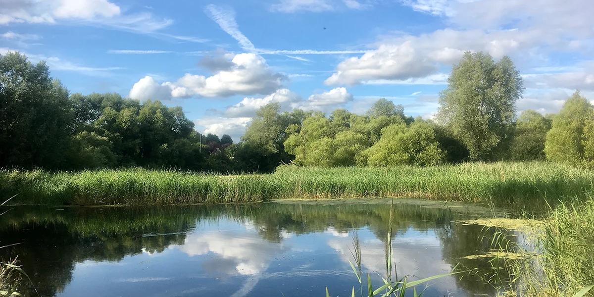 Magor Marsh SSSI