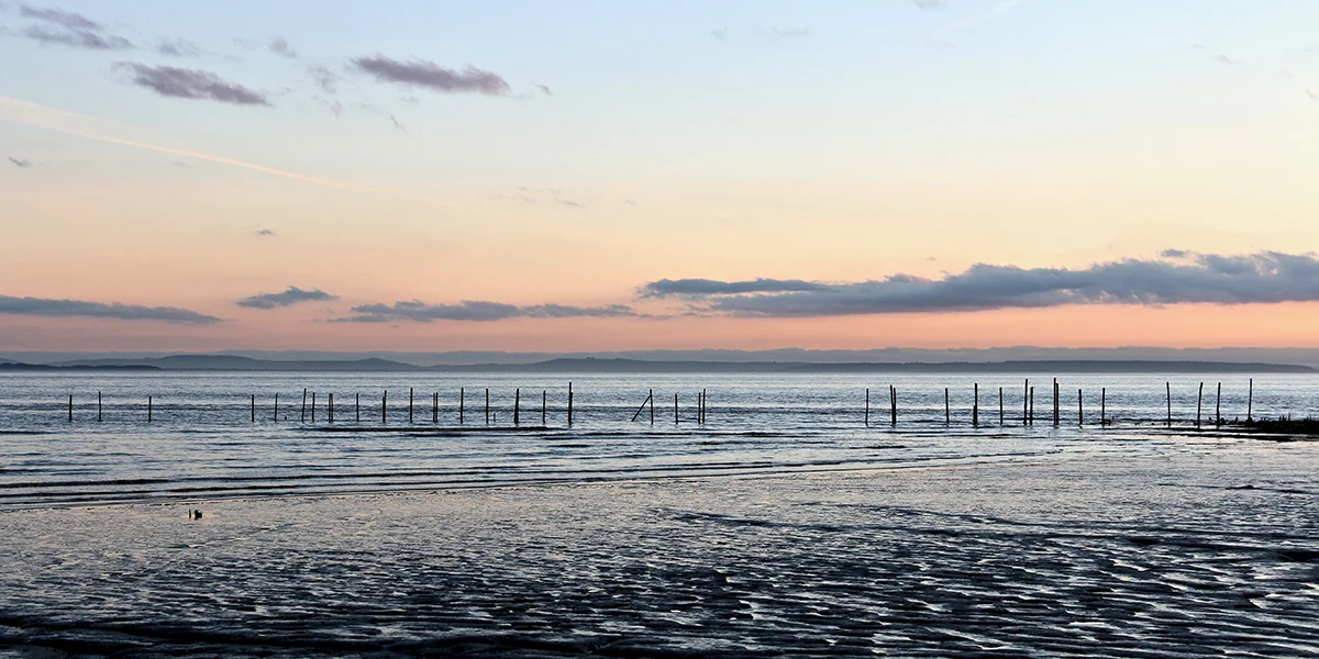 Winter sunset, Goldcliff (Chris Harris)
