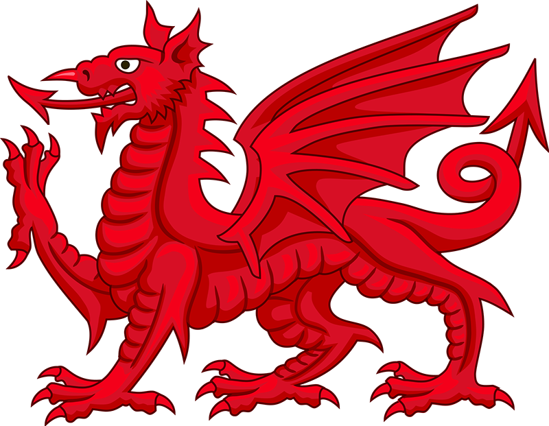  The Welsh Dragon is thought to be derived from Cadwaladr’s battle standard. 
