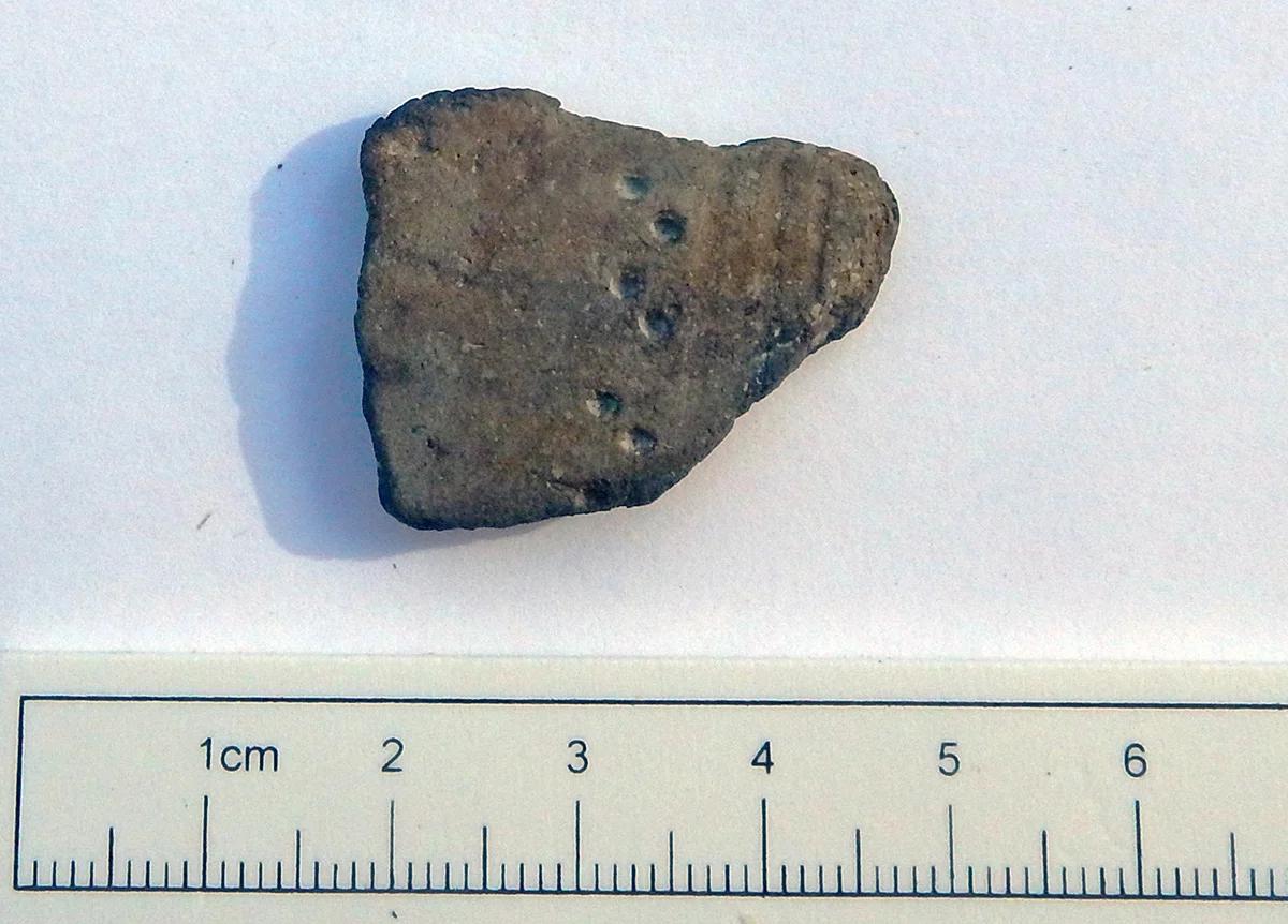Early Bronze Age Beaker pottery