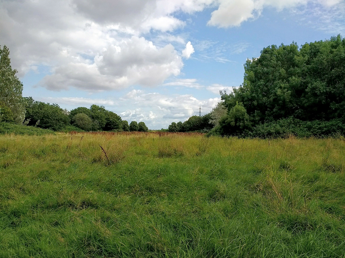  General View of the moors 