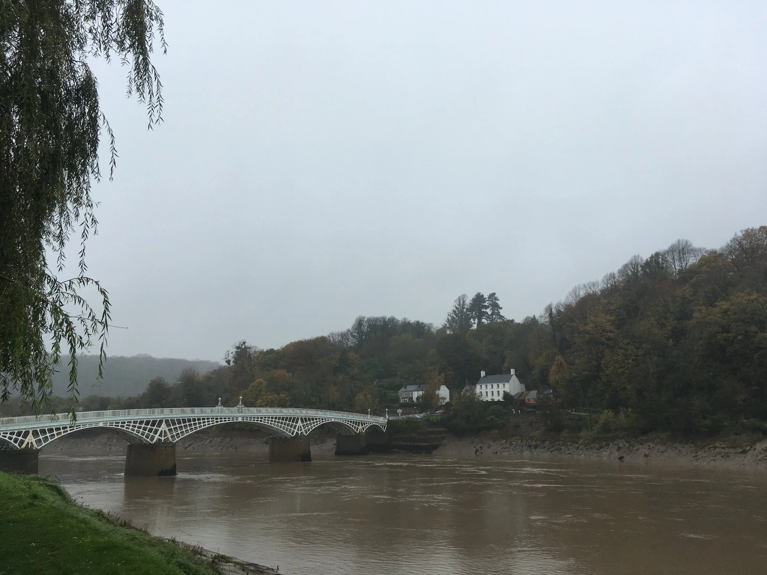 Image: Christine Watkins