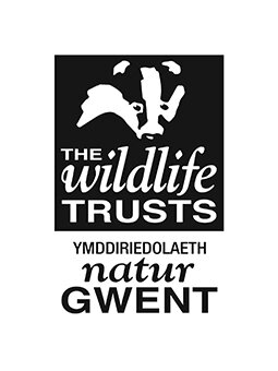 Gwent Wildlife Trust Logo WEB.jpg
