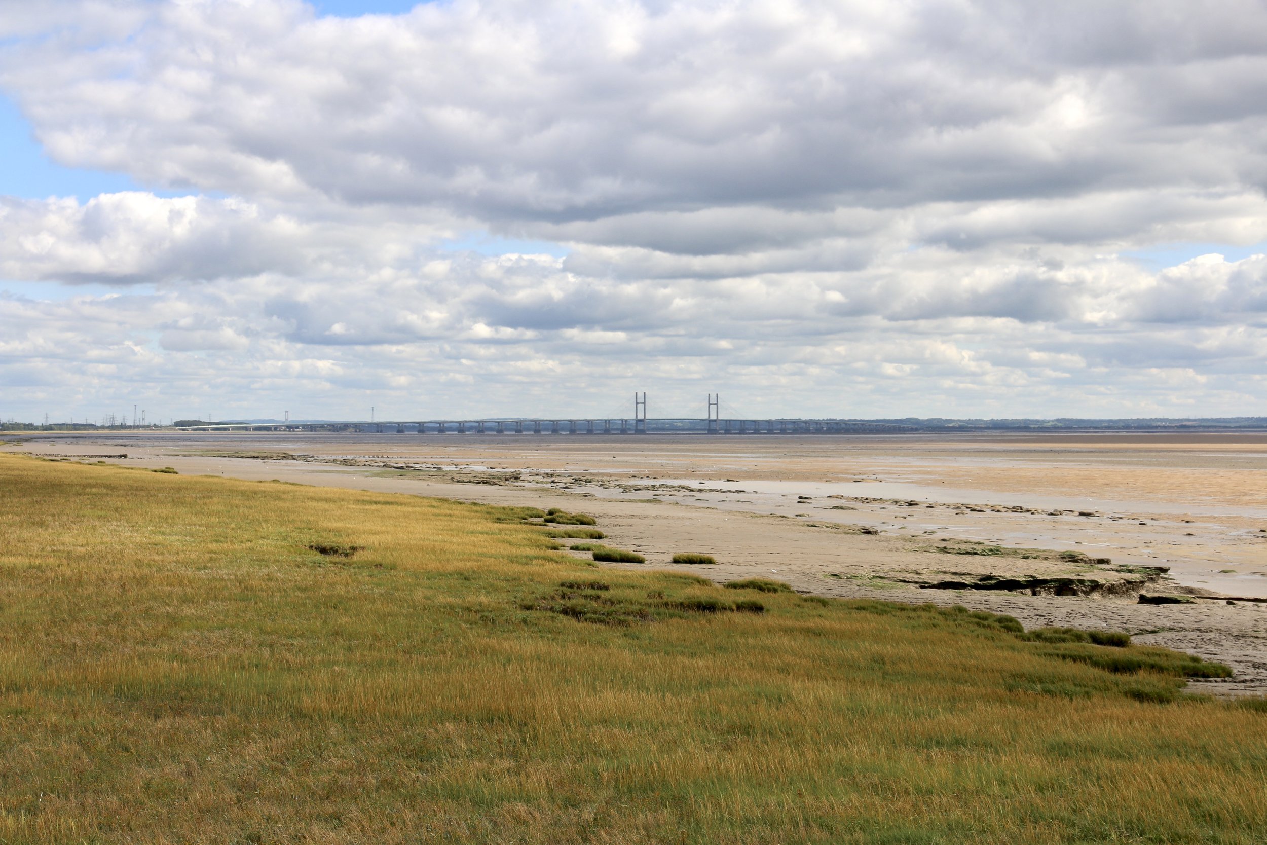 Wellbeing Wednesdays: Severn Senses