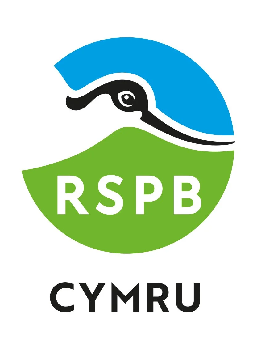 rspb_cymru_xl_bm_colour_rgb.jpg