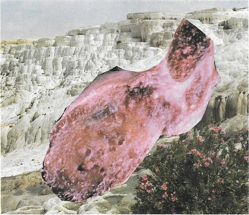 meat+ice.jpeg