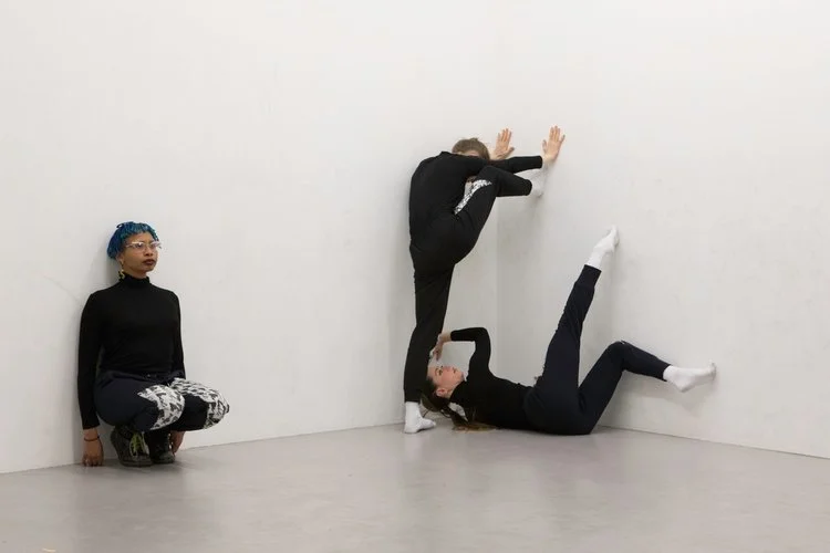 or what is (variations) by Nicole Bachmann (Session 2)