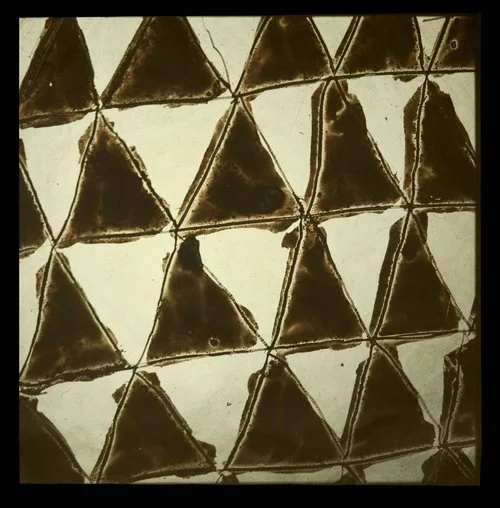 Book Launch: On the Origins of Patterns, Panel Talk