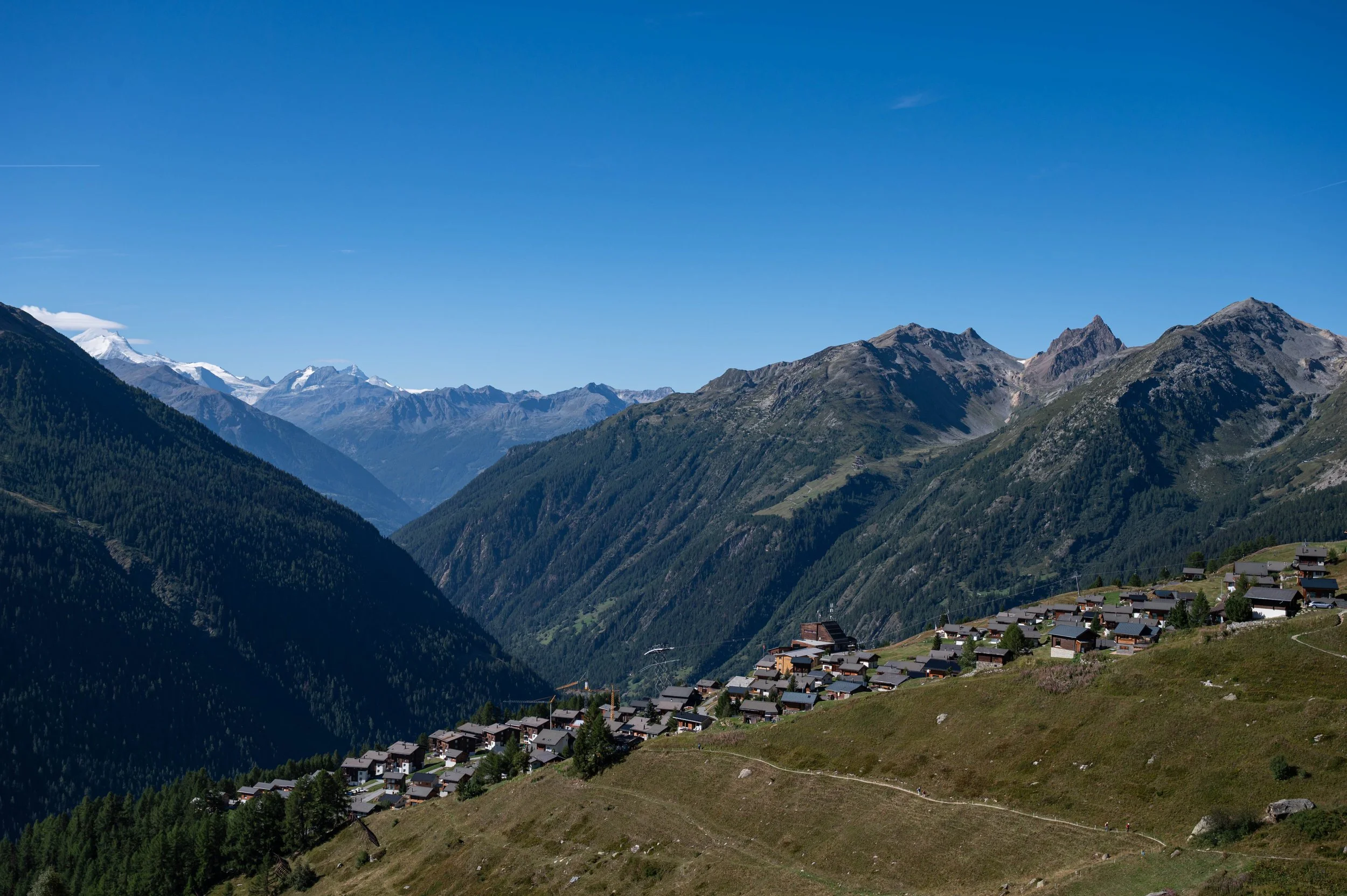 DSC_2318.jpg