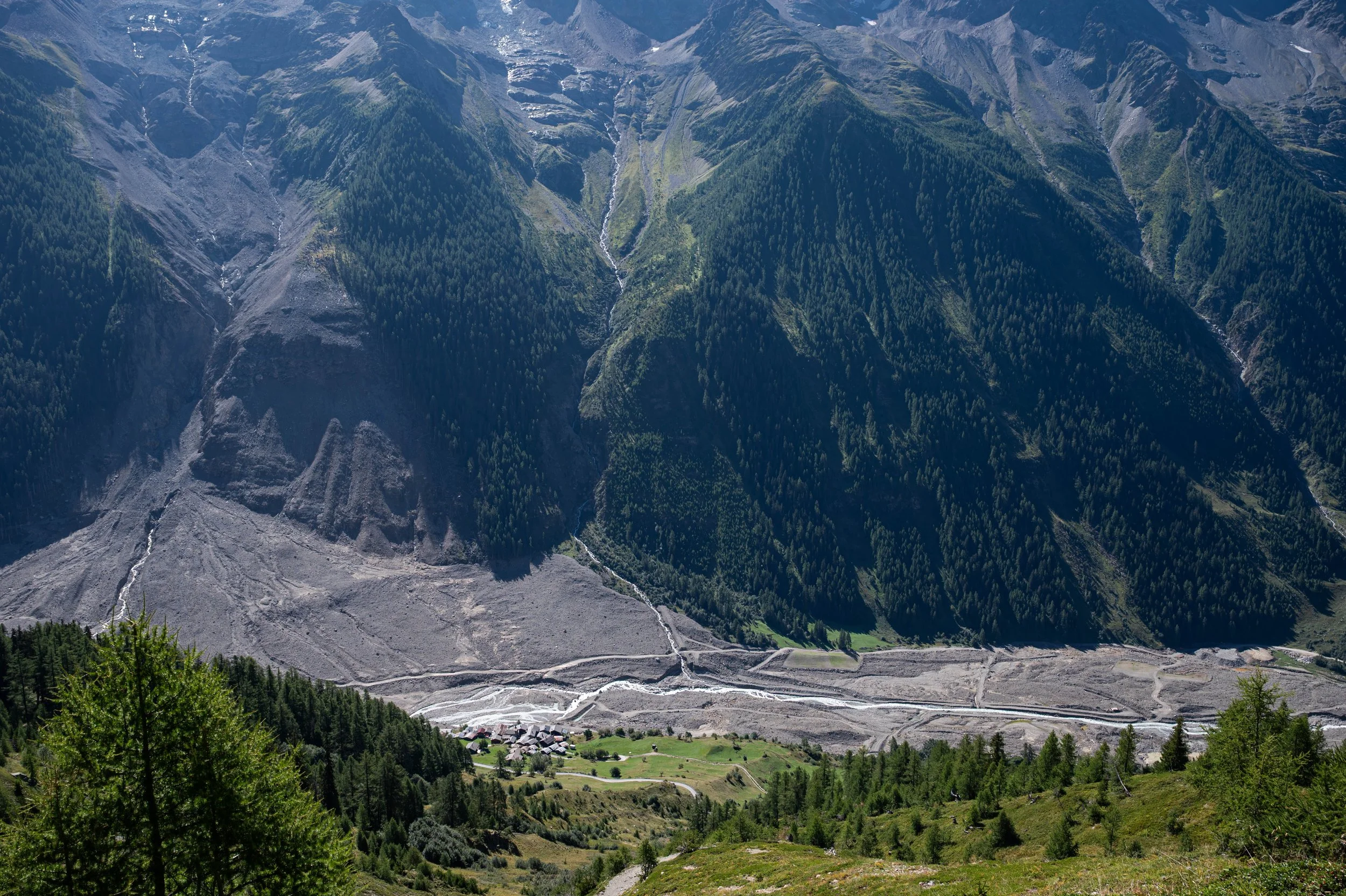 DSC_2320.jpg