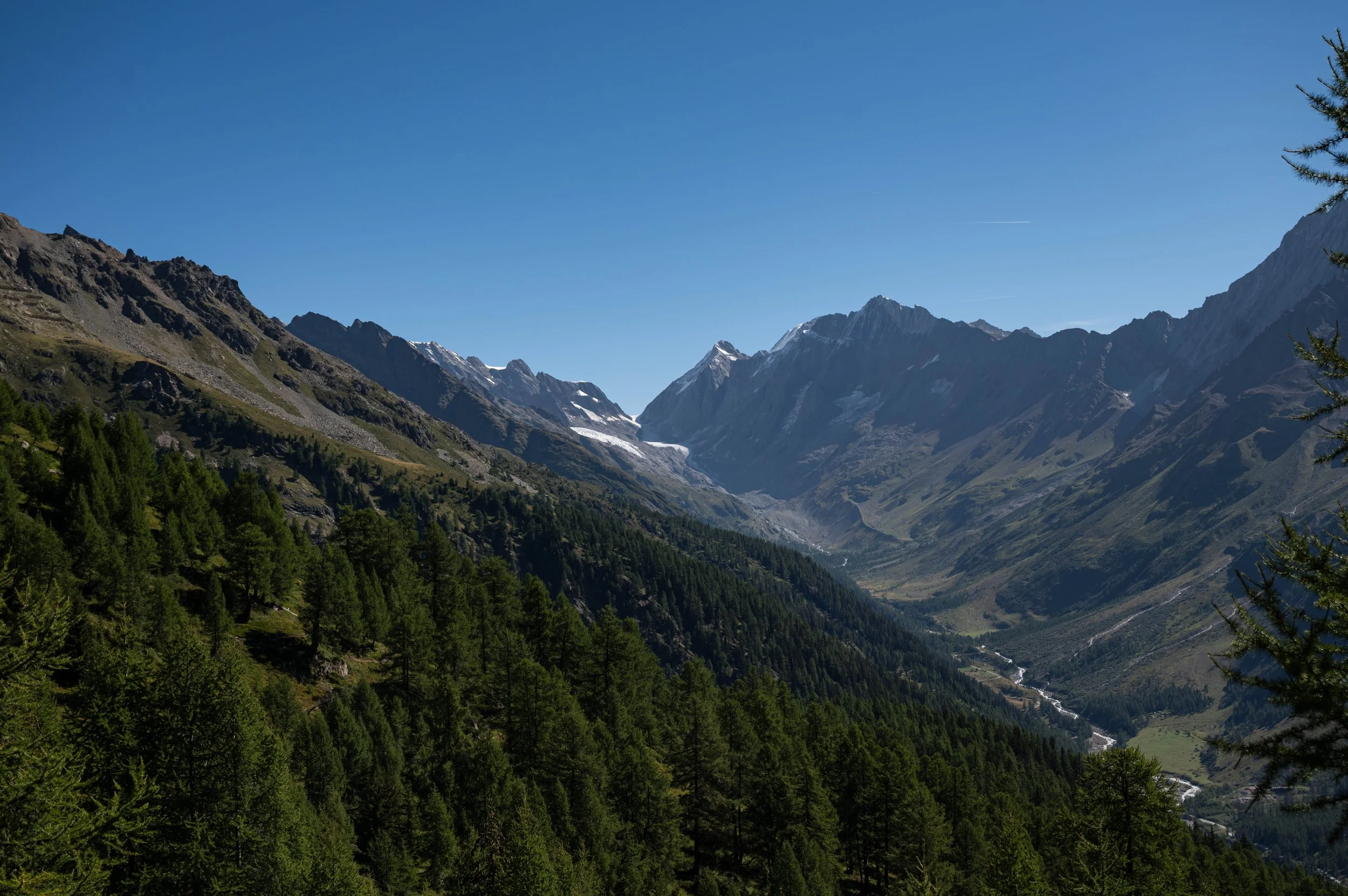 DSC_2322.jpg