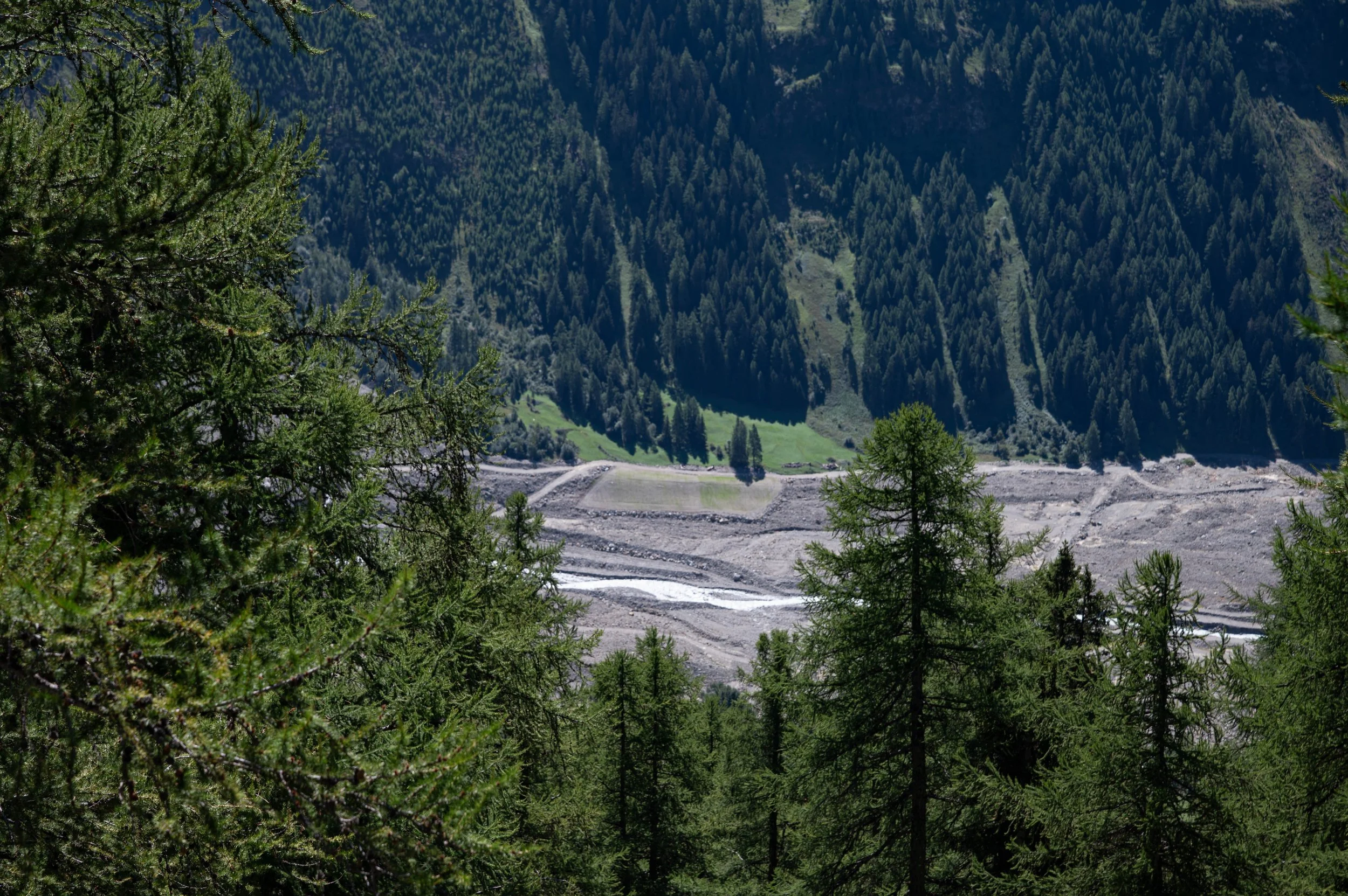 DSC_2327.jpg
