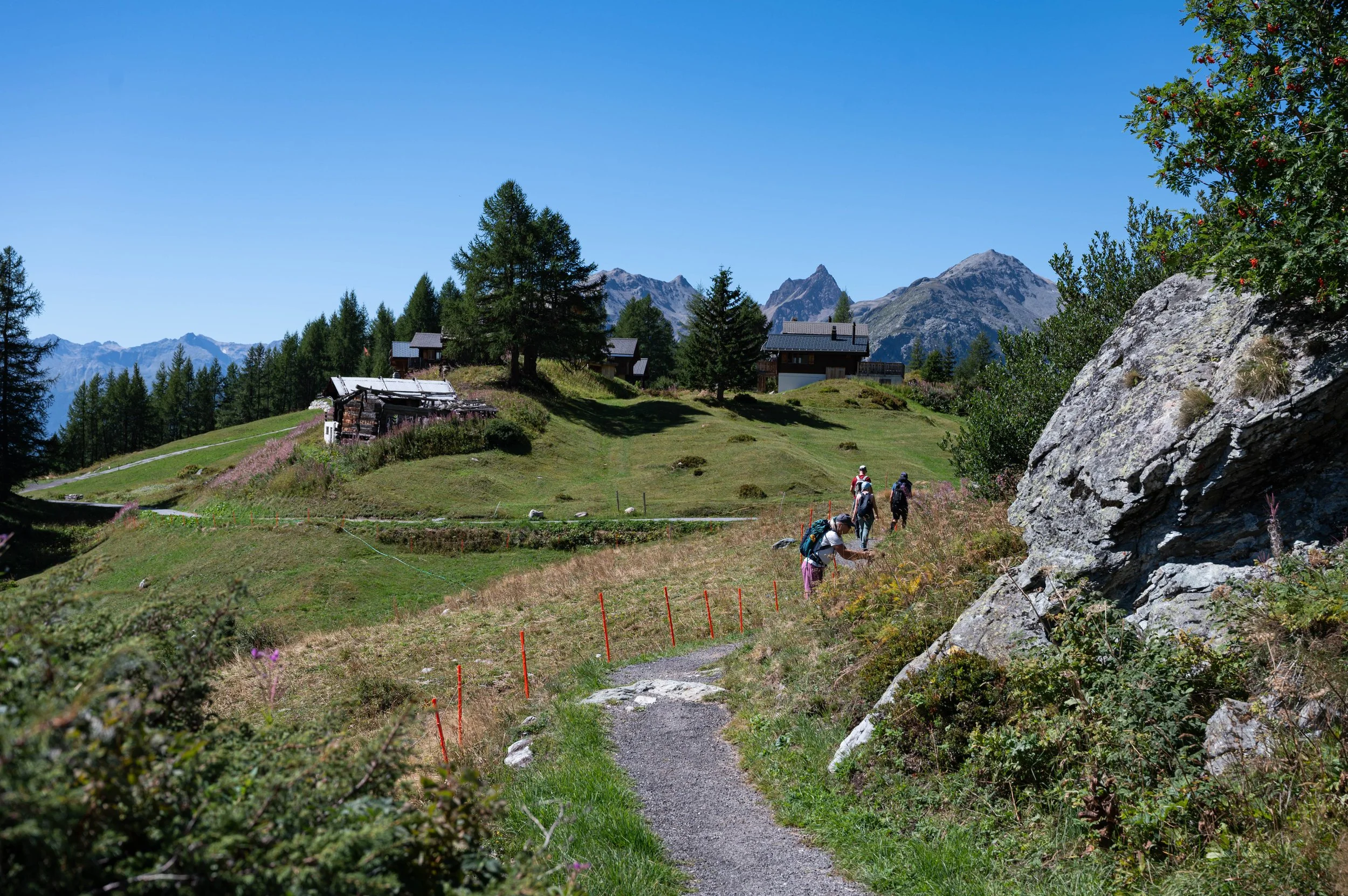 DSC_2330.jpg