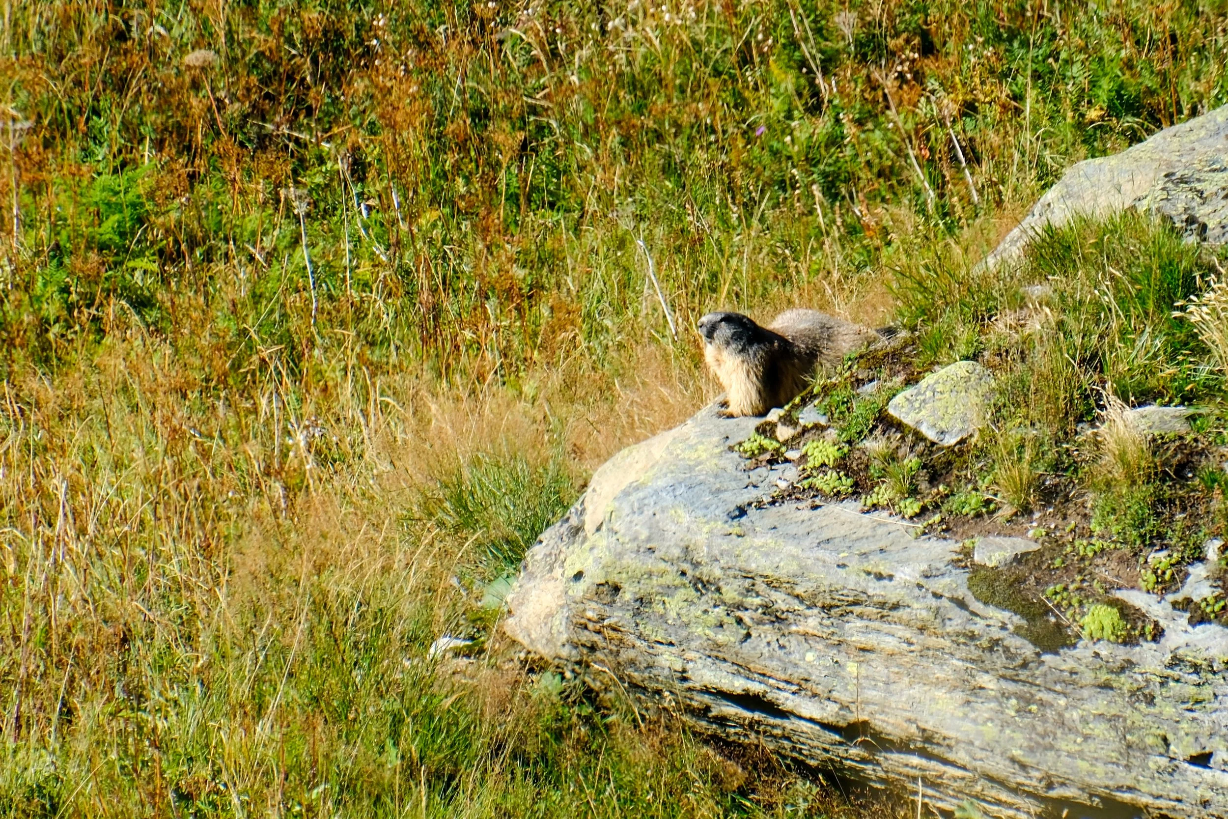 DSCF1127.jpg