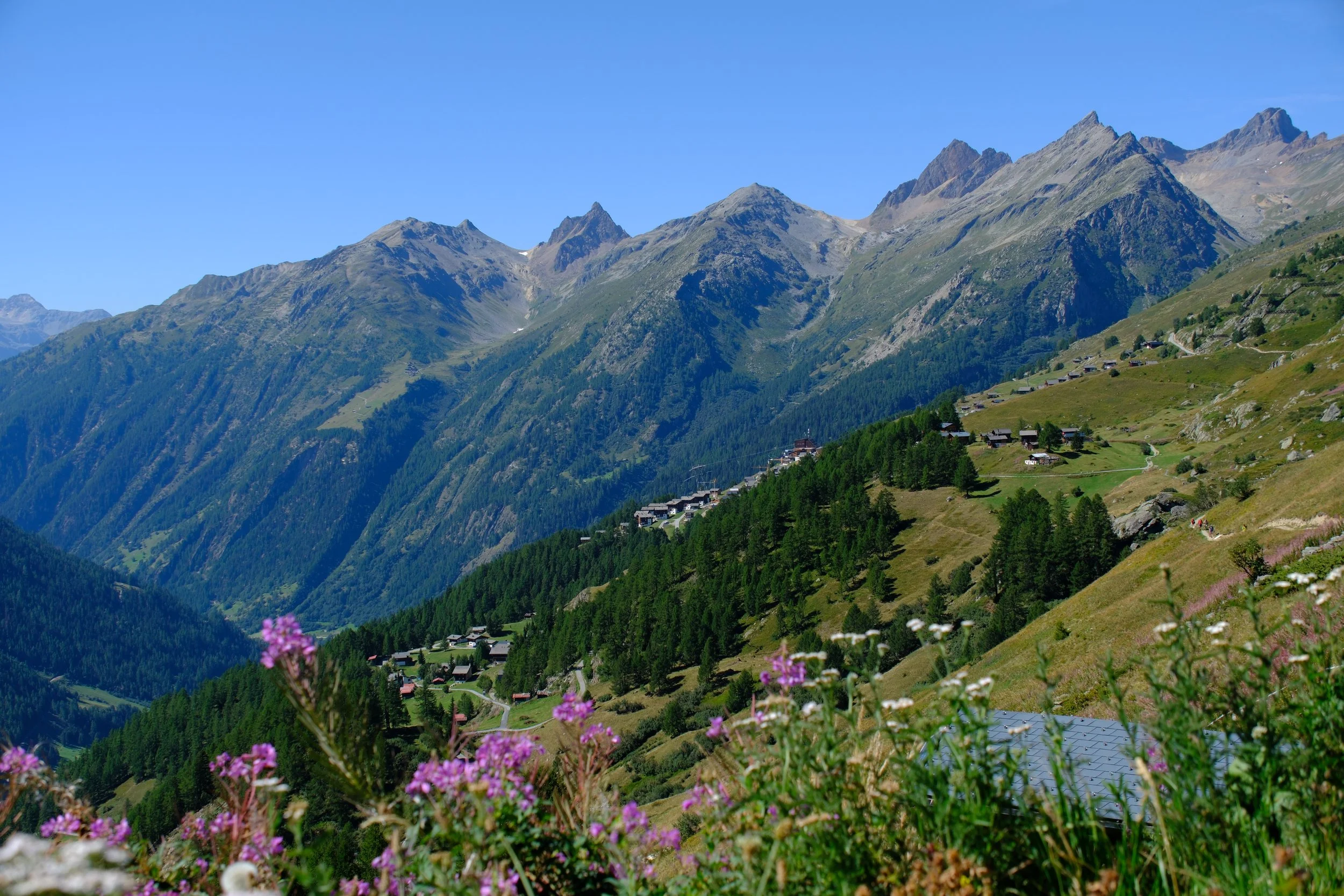 DSCF1165.jpg