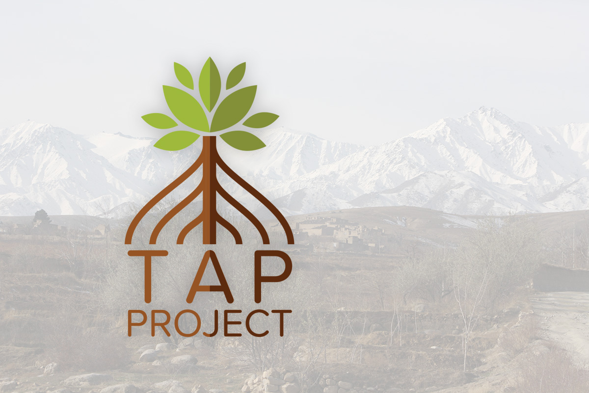 tap.jpg