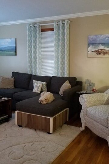 The Great Couch Dilemma