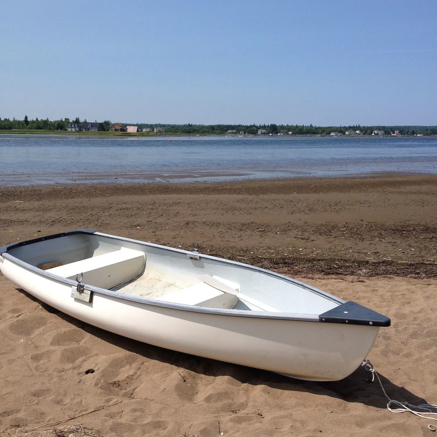 rowboat Seagull beach.jpg