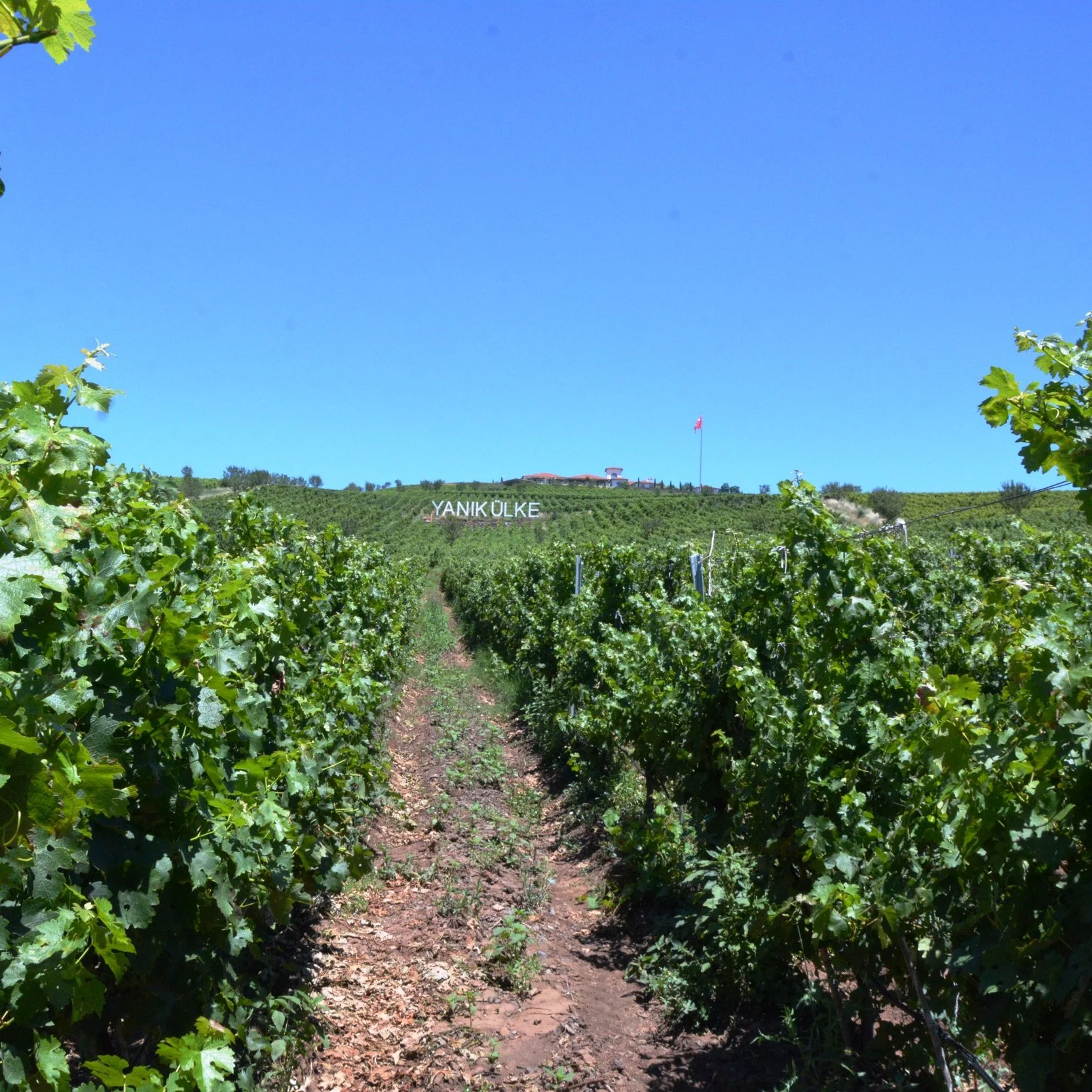 燃燒之鄉-Yanık Ülke酒莊與Villa Estet旅館