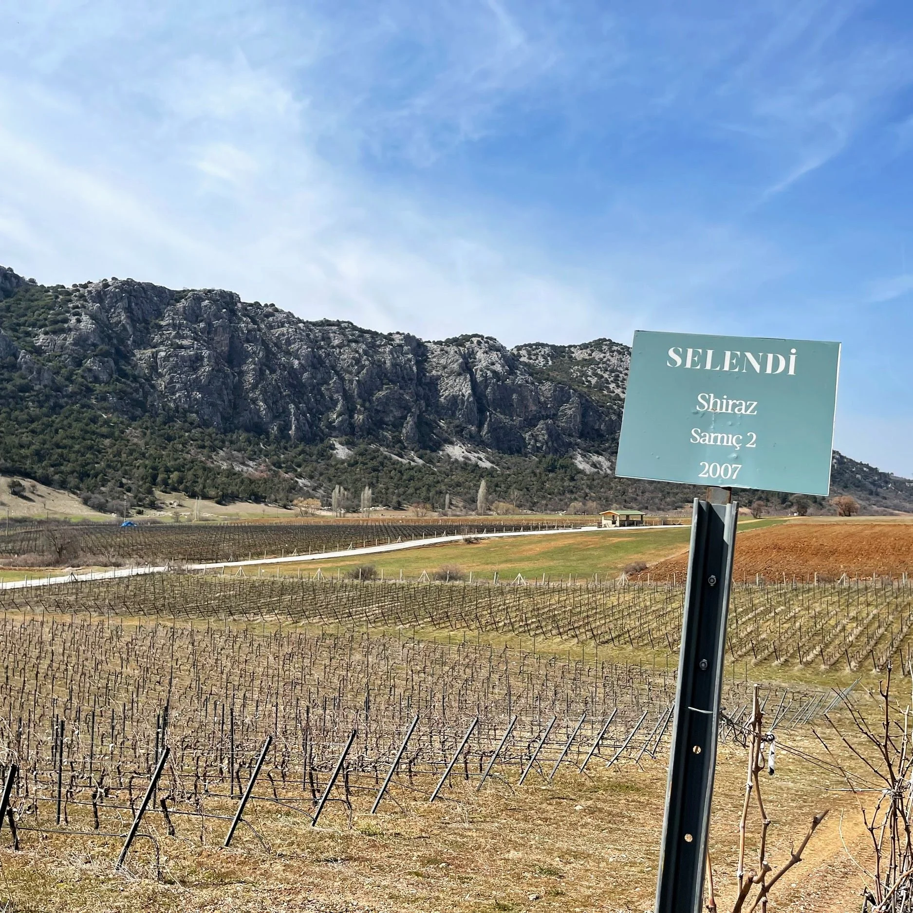 Selendi酒莊Sarnıç葡萄園