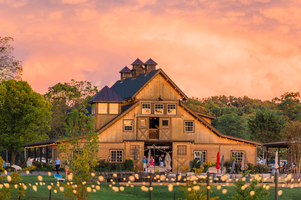 Fun Activities For Your Out of Town Guests