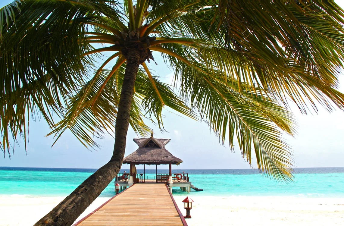 Travel Insurance (2).jpeg
