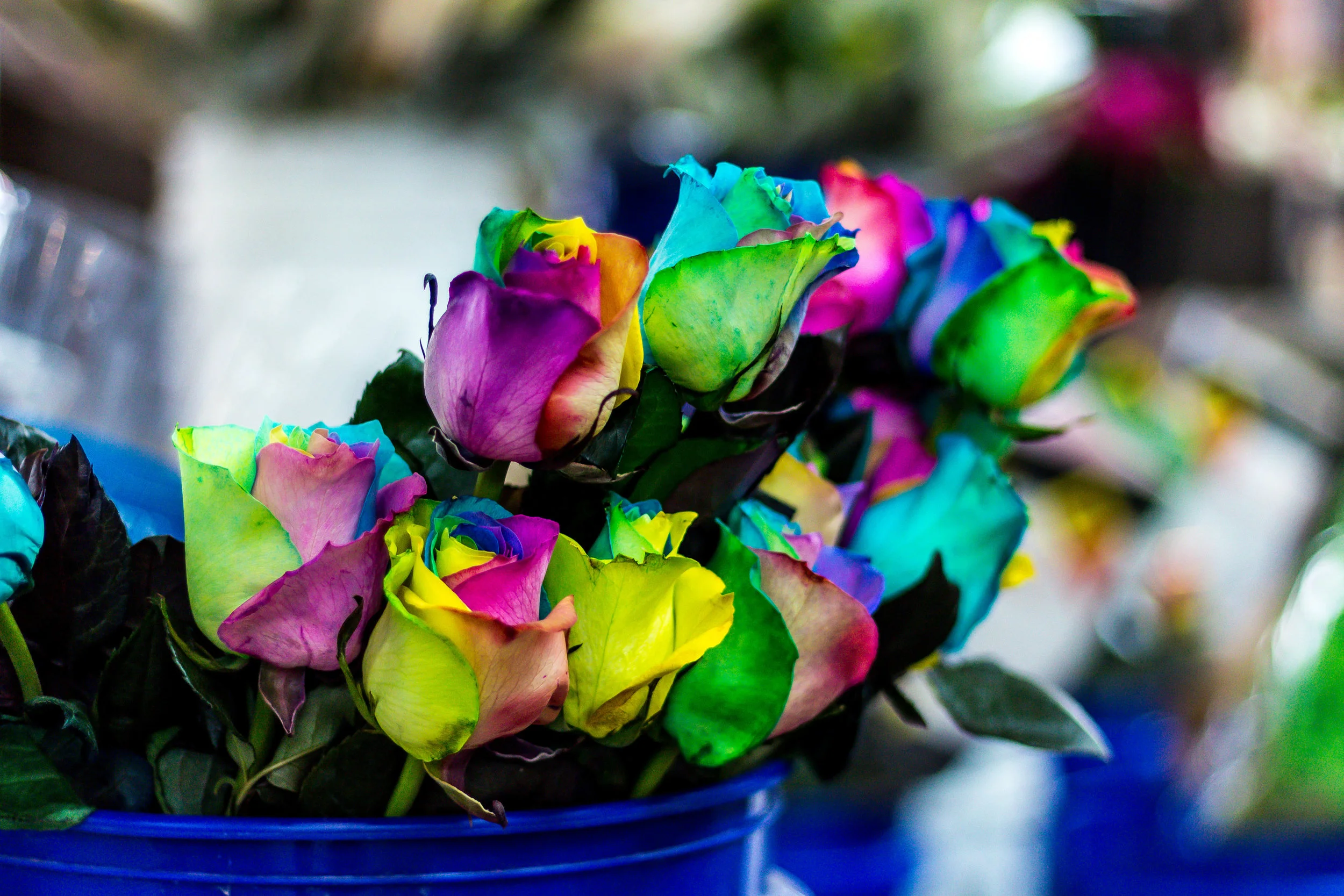 Eastern Market Shopping-12.jpg