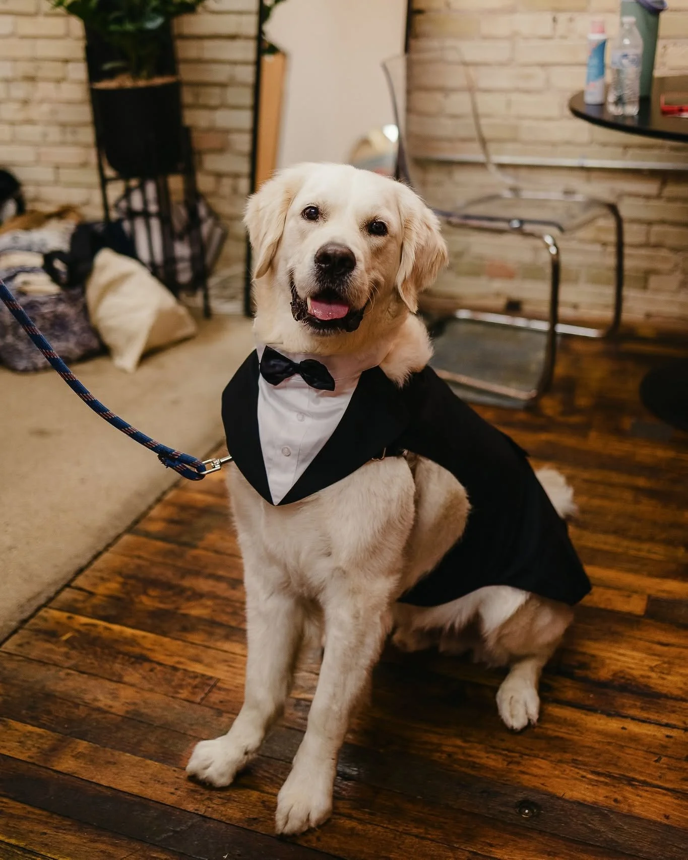 When the guest list includes four legs and a wagging tail, we know it&rsquo;s going to be a good day. 

📸 : @abigailmariephotography 

Your perfect day starts with the perfect place - book a
tour with us today!⬇

www.thegoeicenter.com

#KindelRoom
#