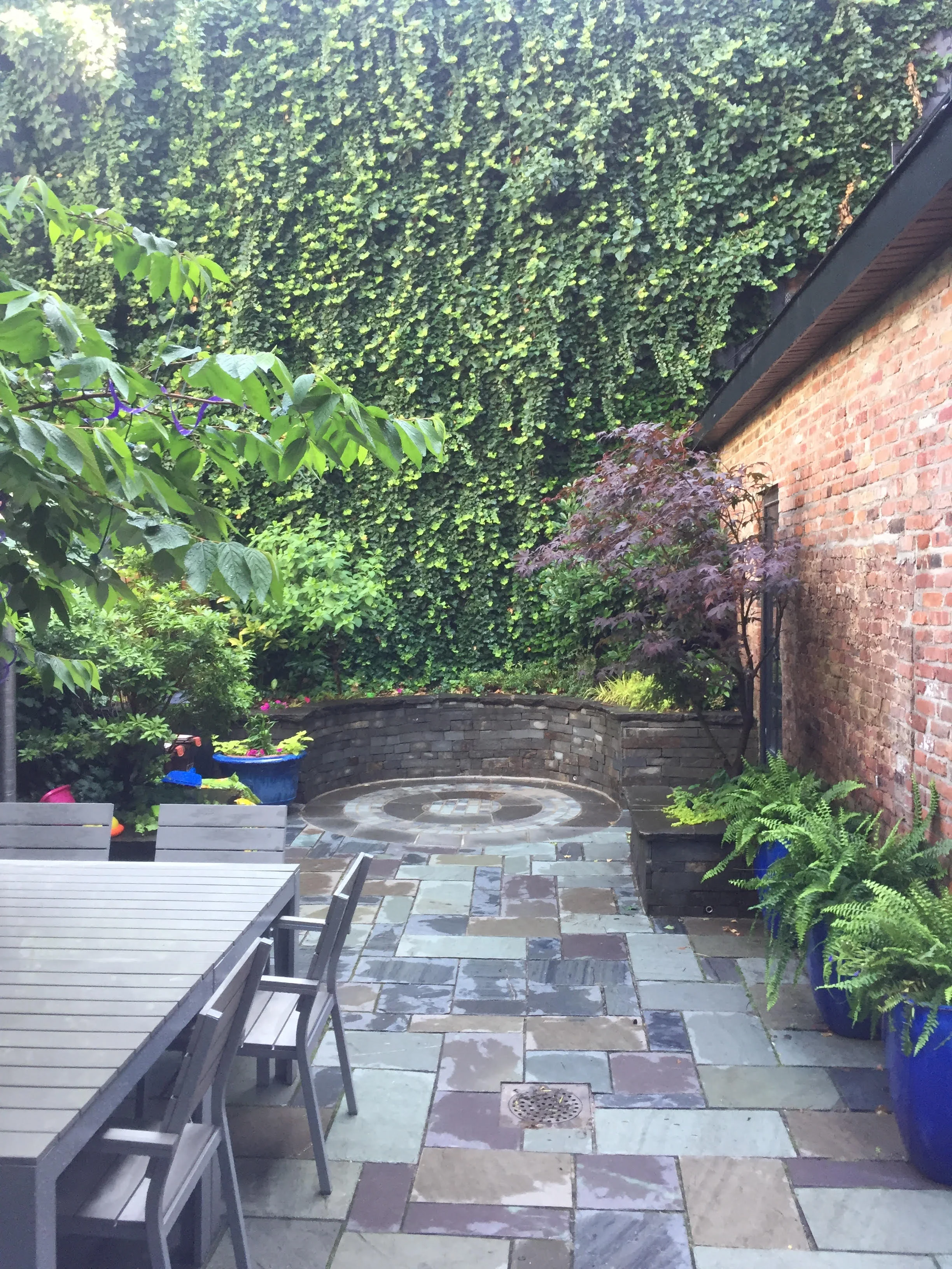 backyard.jpg