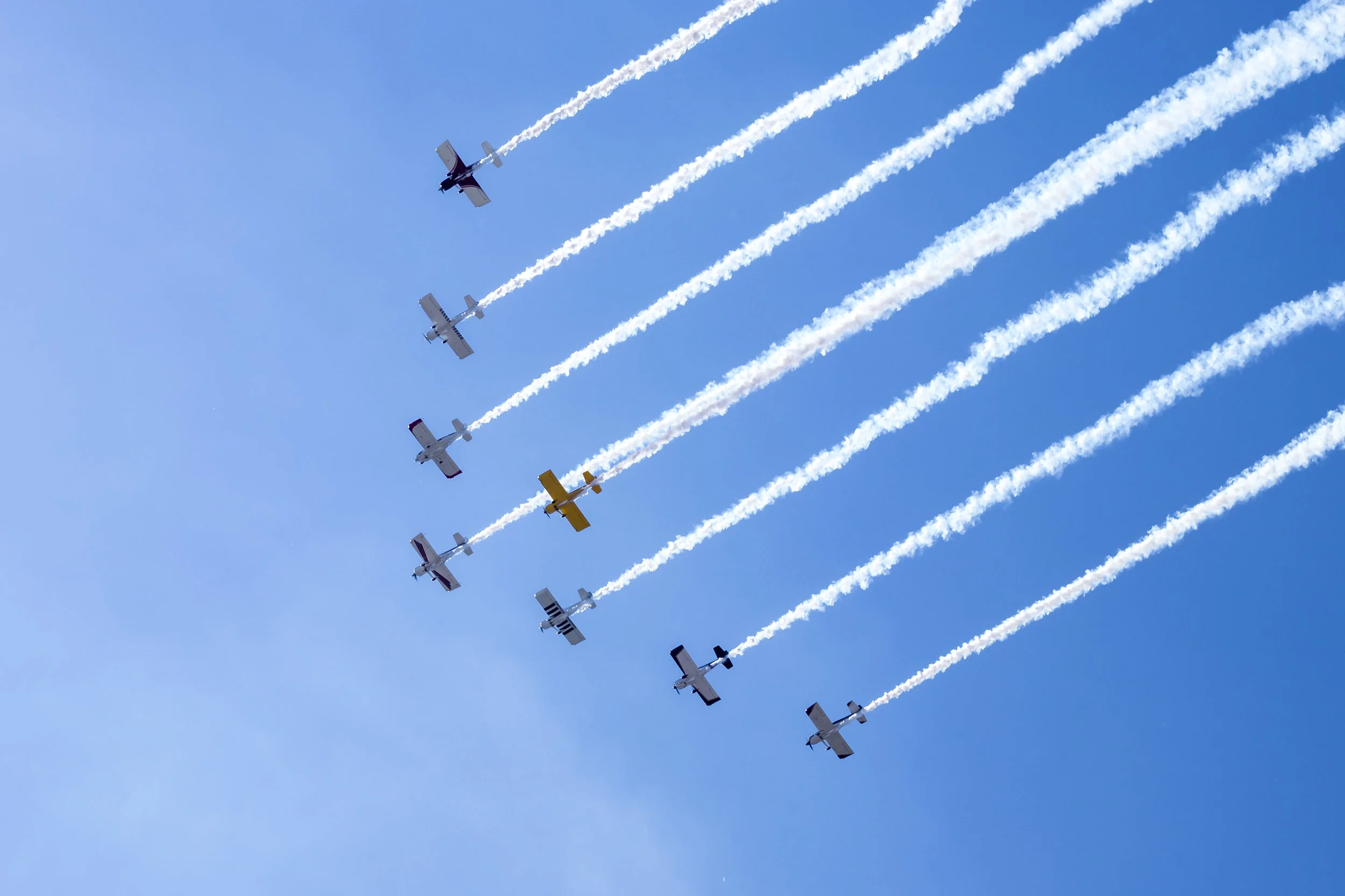 _MG_8486.jpg