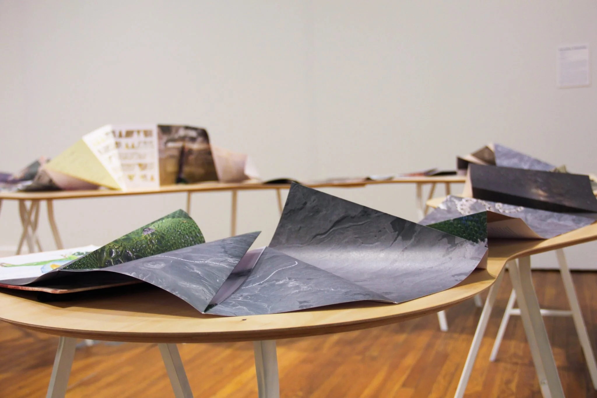 Carolina-Caycedo-Serpent-River-Book-2017-Artist-Book-72-page-accordion-fold-offset-printed-canvas-hardcover-elastic-band-Numbered-edition-of-250-22-x-31-x-3.5-cm-closed.jpg