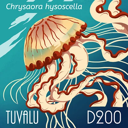jellyfish1colors.jpg