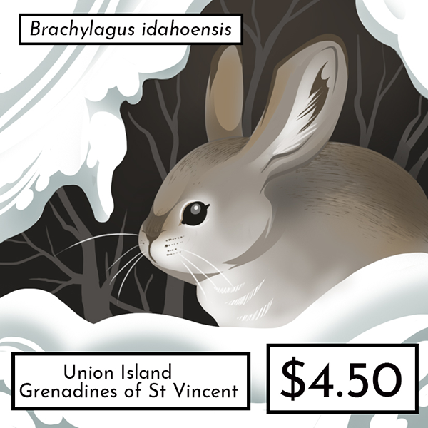 rabbit5st1fin copyweb.png