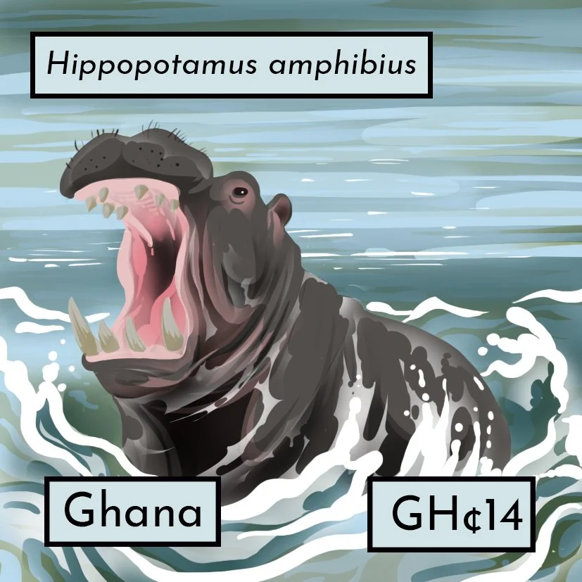 hippostamp3v5color copy.jpg