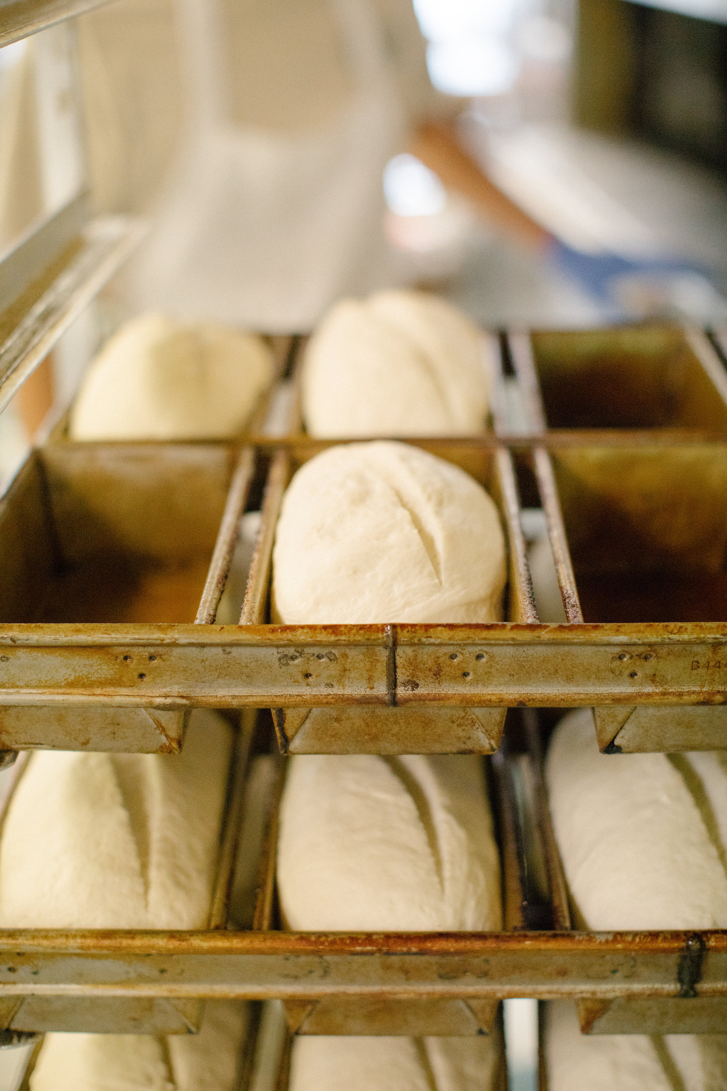 dough.jpg
