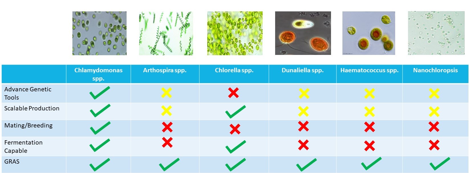 Triton's synthetic biology.jpg