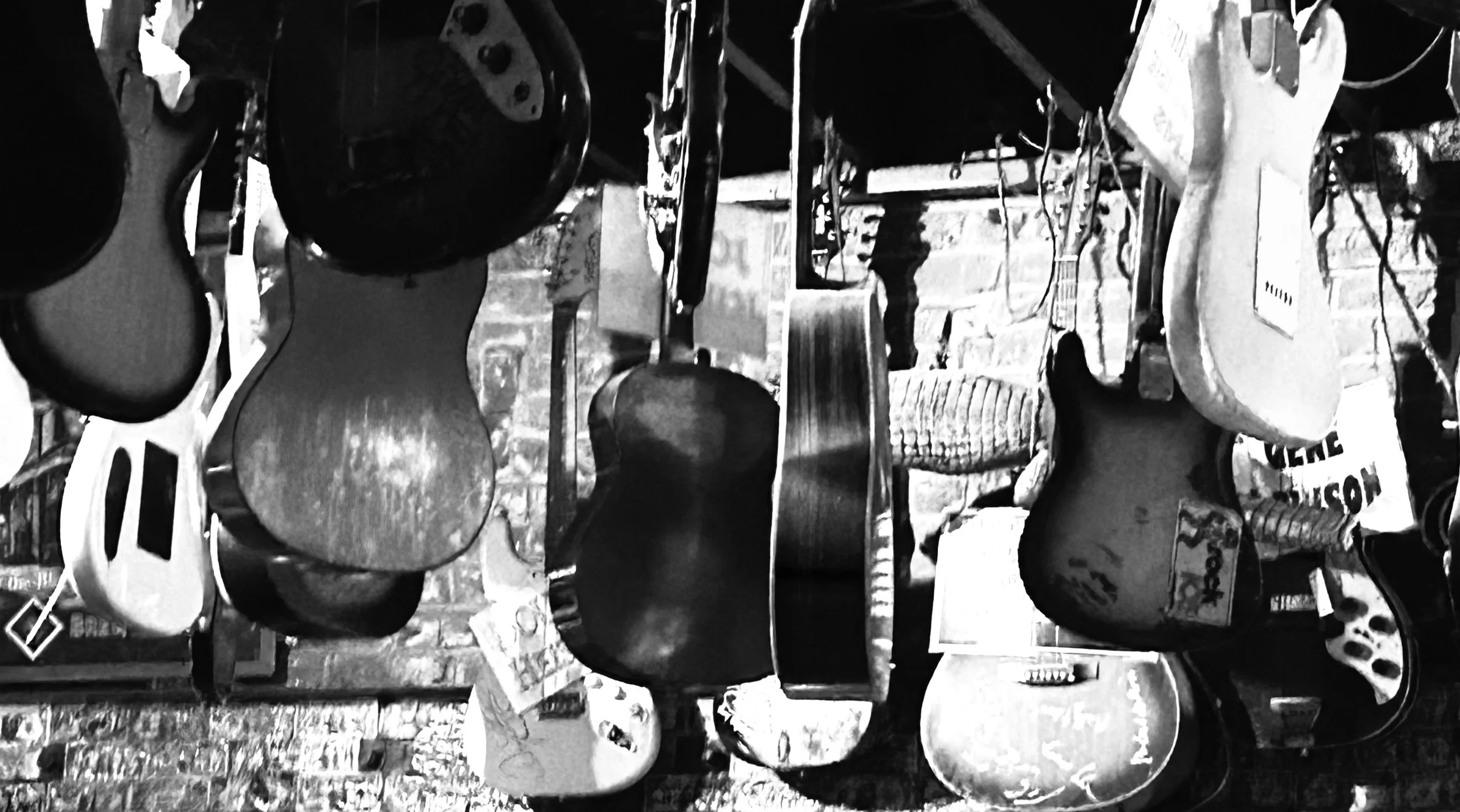 Calling All Music Fans!