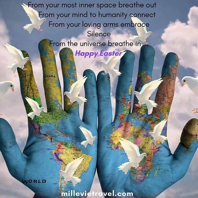 From your most inner space breathe out- From your mind to humanity connect- From your loving arms embrace- Silence- From the universe breathe in... Happy Easter 🕊

#breathe #connect #soulconnection #silence #breathein #breathinbreathout #togetherits