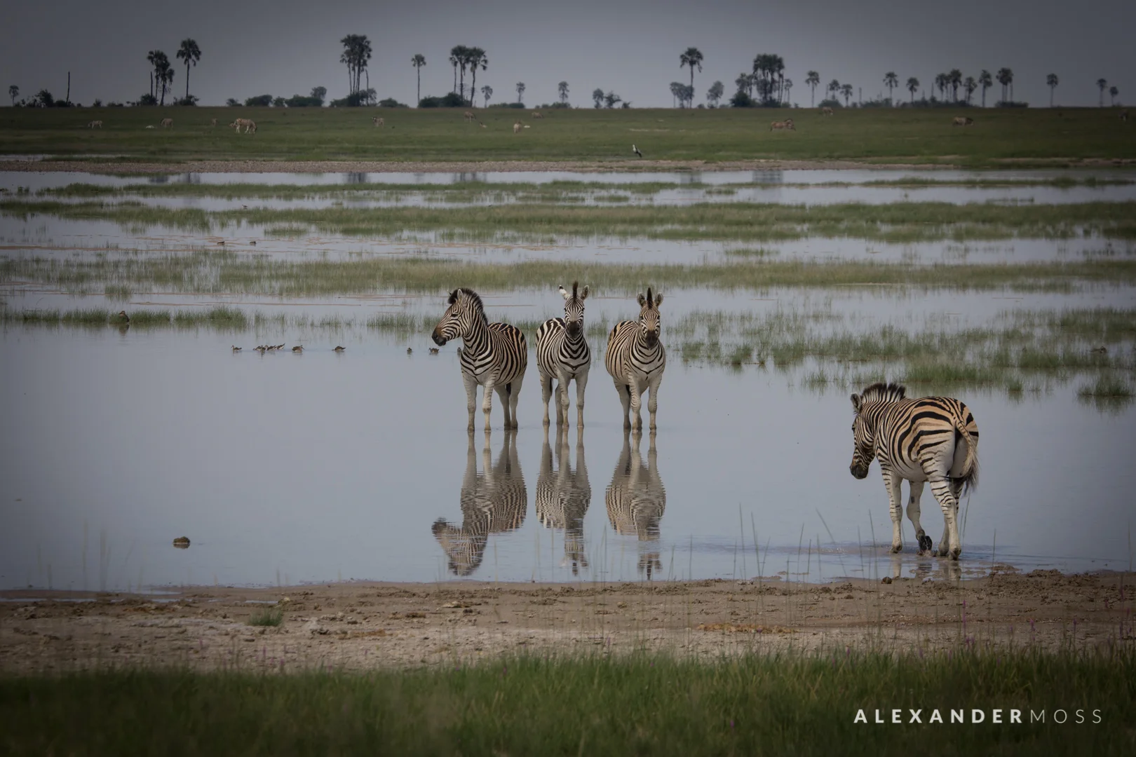 makgadikgadi-4.jpg