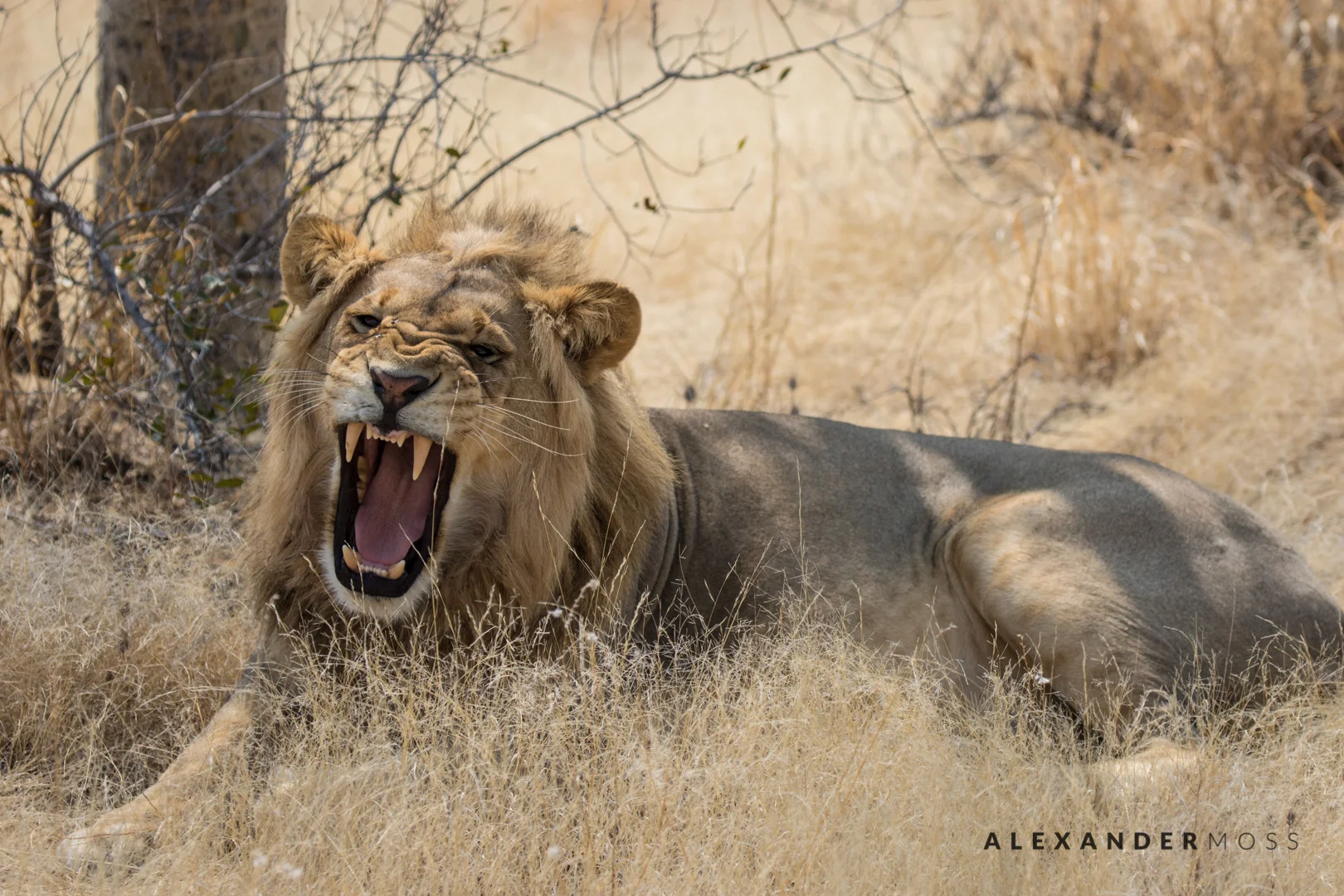 makgadikgadi-2.jpg