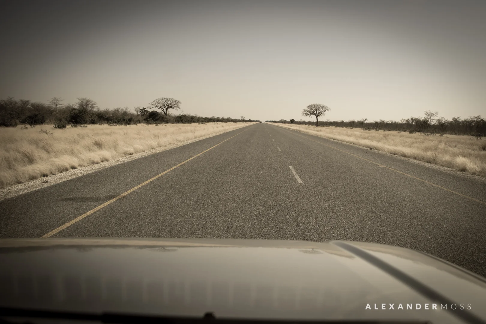 Chobe-2.jpg