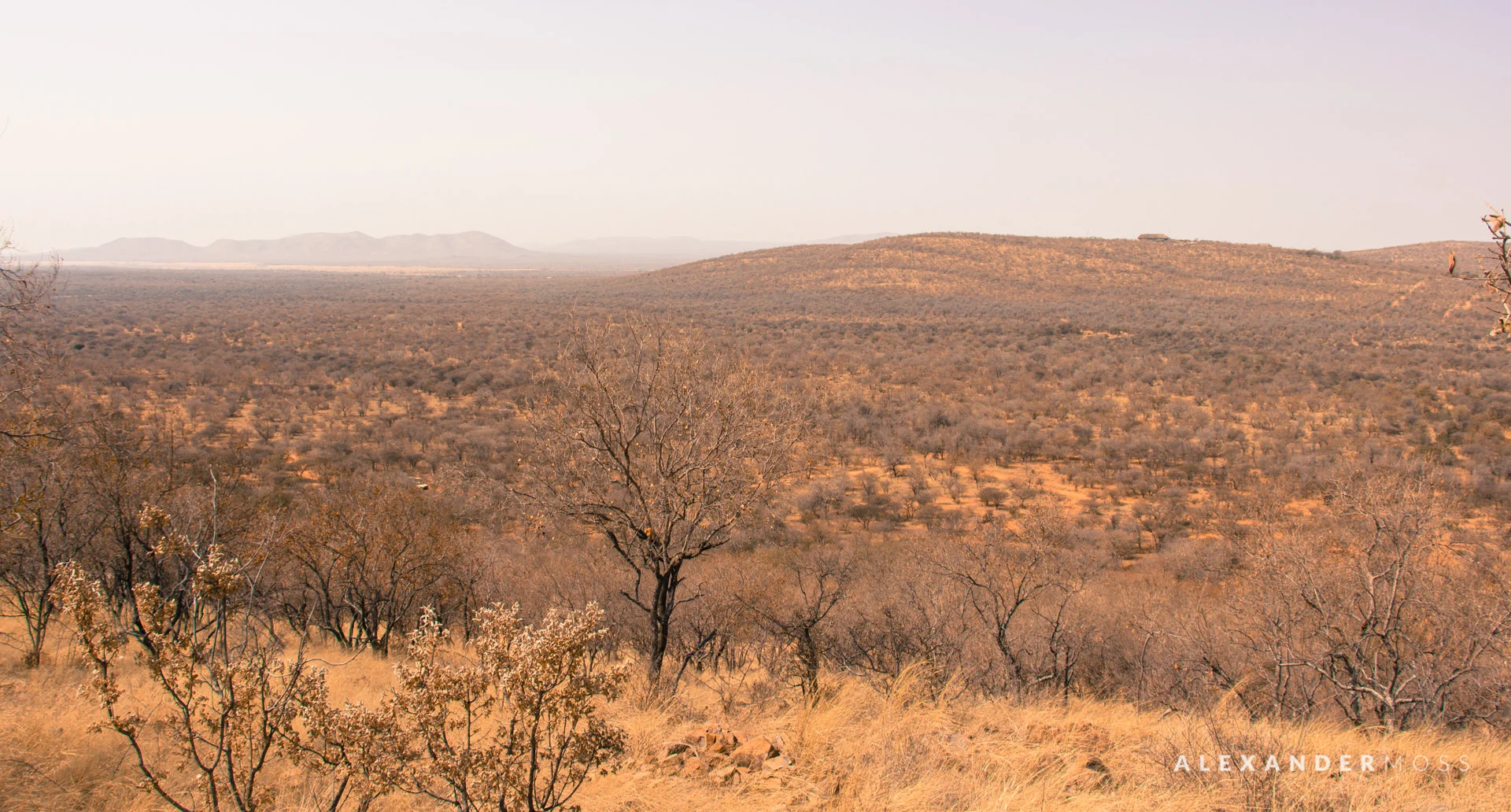 Mokolodi-2.jpg