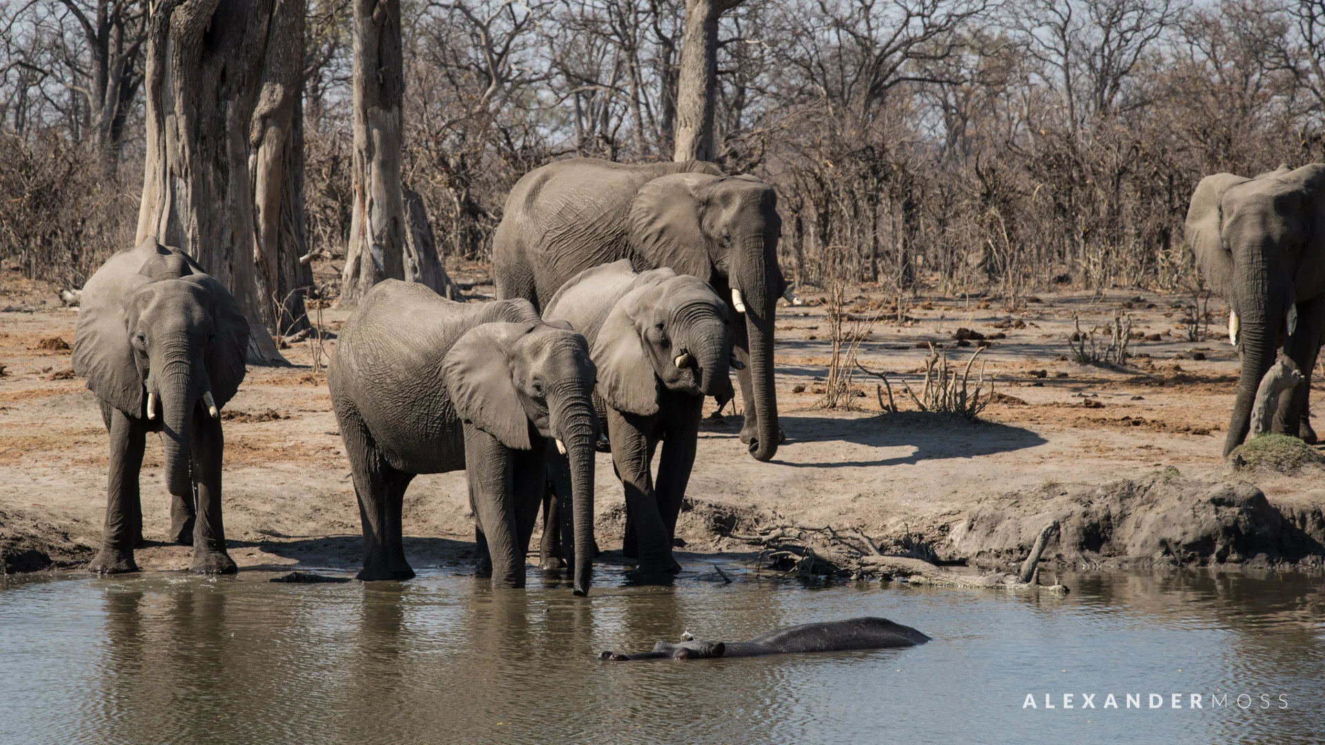 savuti camp-40.jpg
