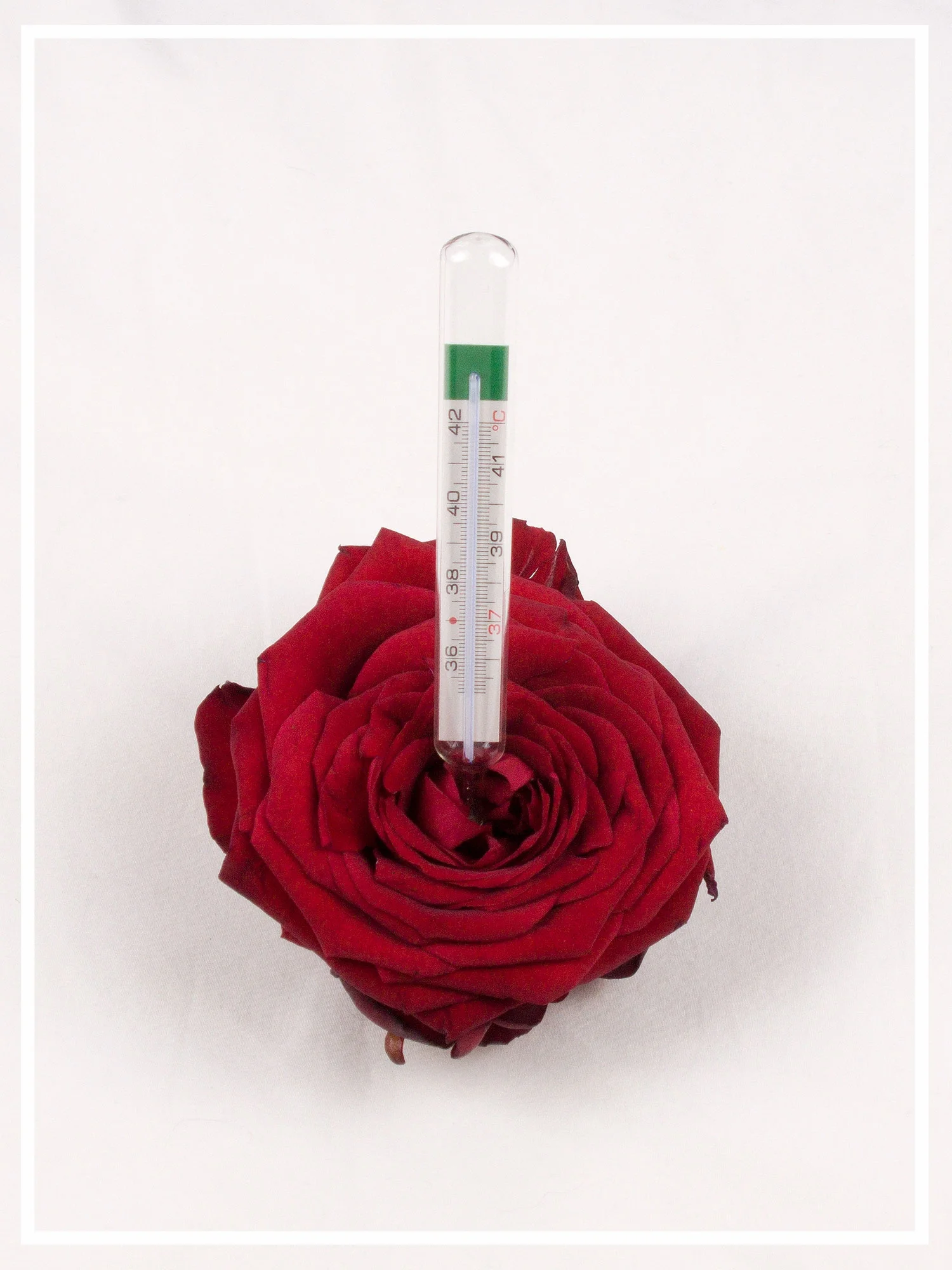 thermomètre analogique.jpg