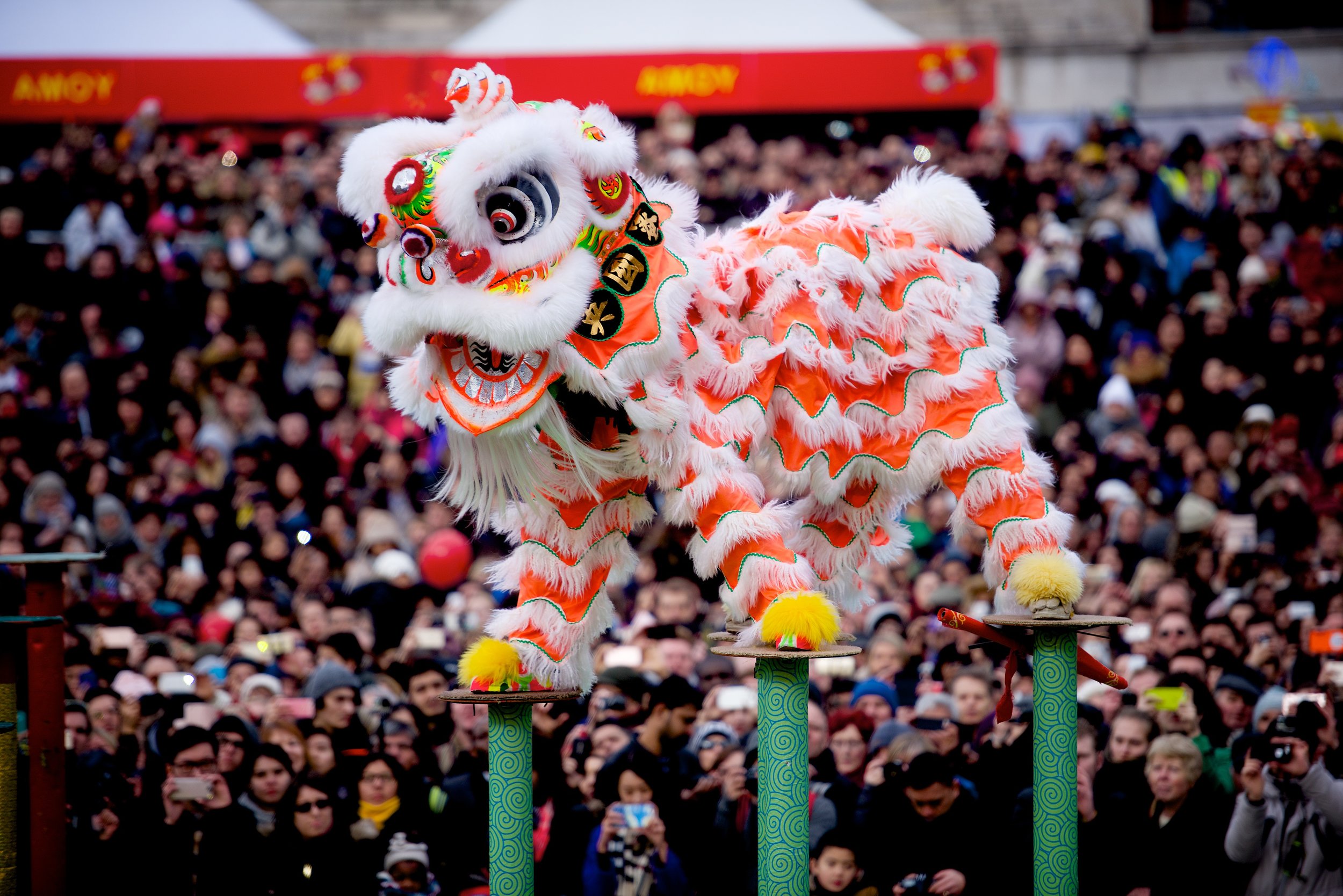 Case Study | Chinese New Year Celebrations